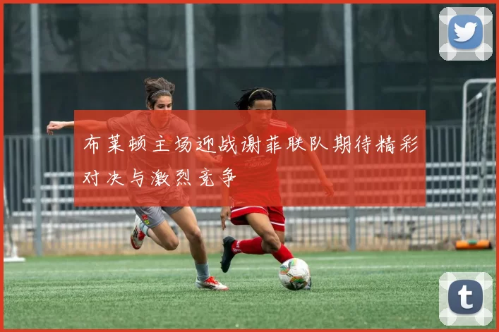 布莱顿主场迎战谢菲联队期待精彩对决与激烈竞争
