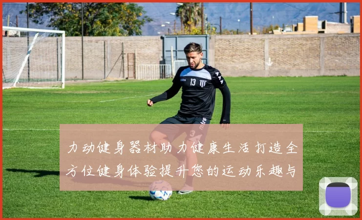 力动健身器材助力健康生活打造全方位健身体验提升您的运动乐趣与效果